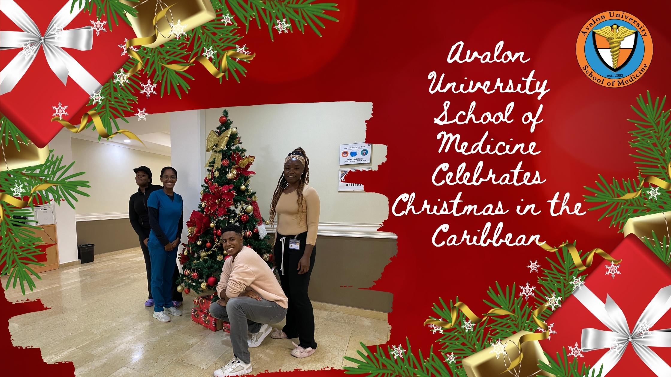 Caribbean Christmas Decortations