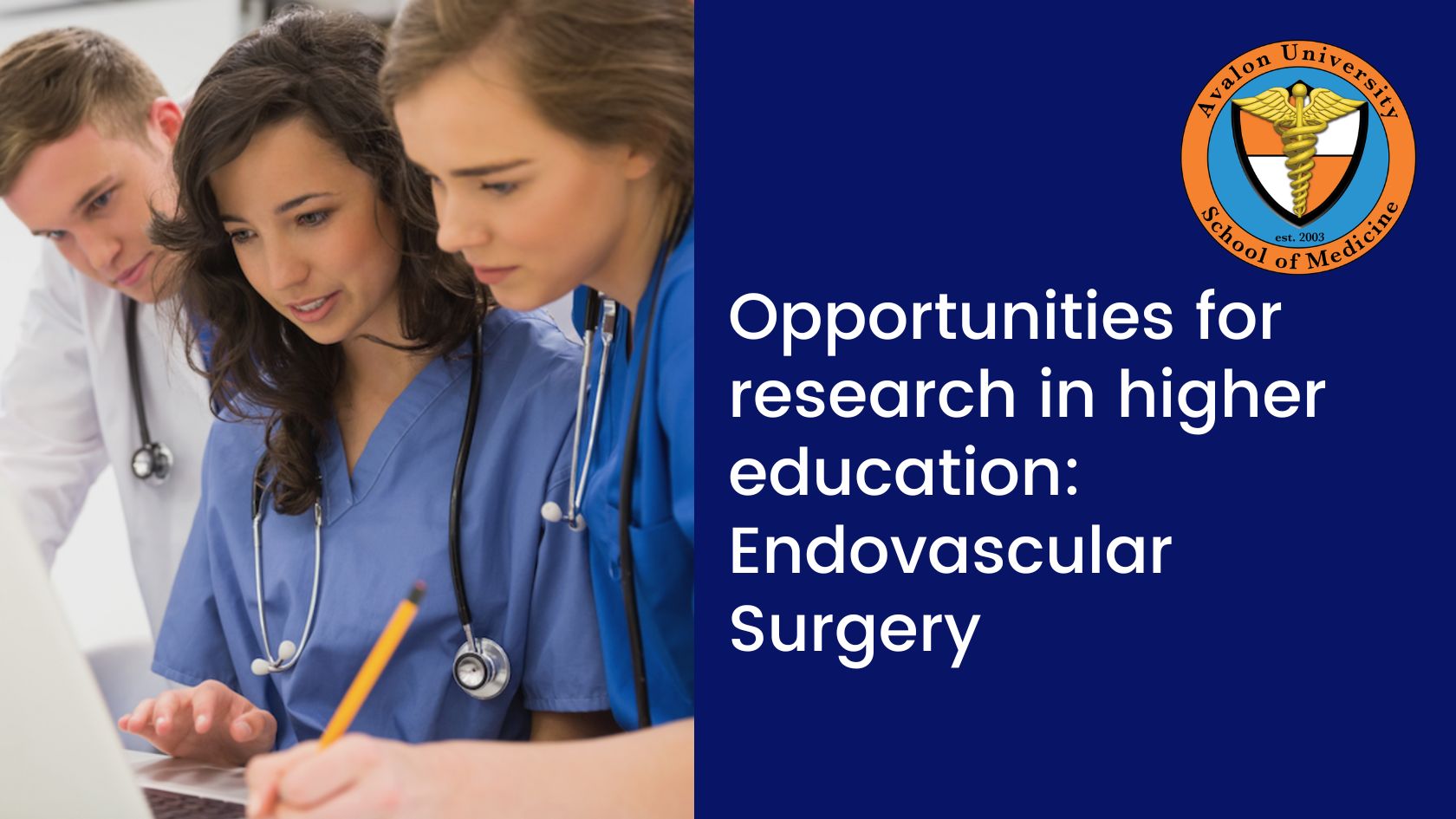 Opportunities for research in higher education Endovascular Surgery
