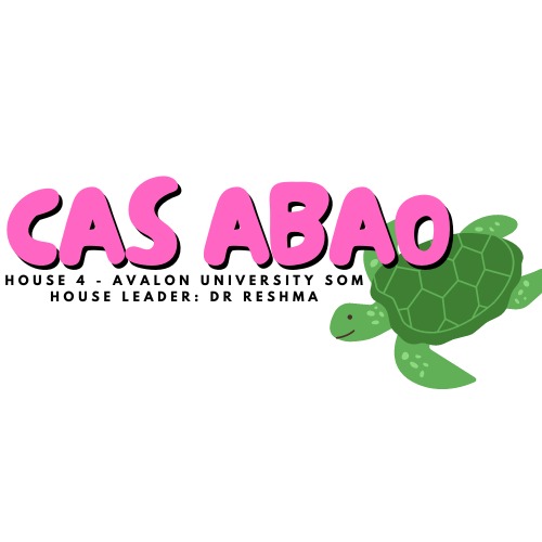 Cas Abao House