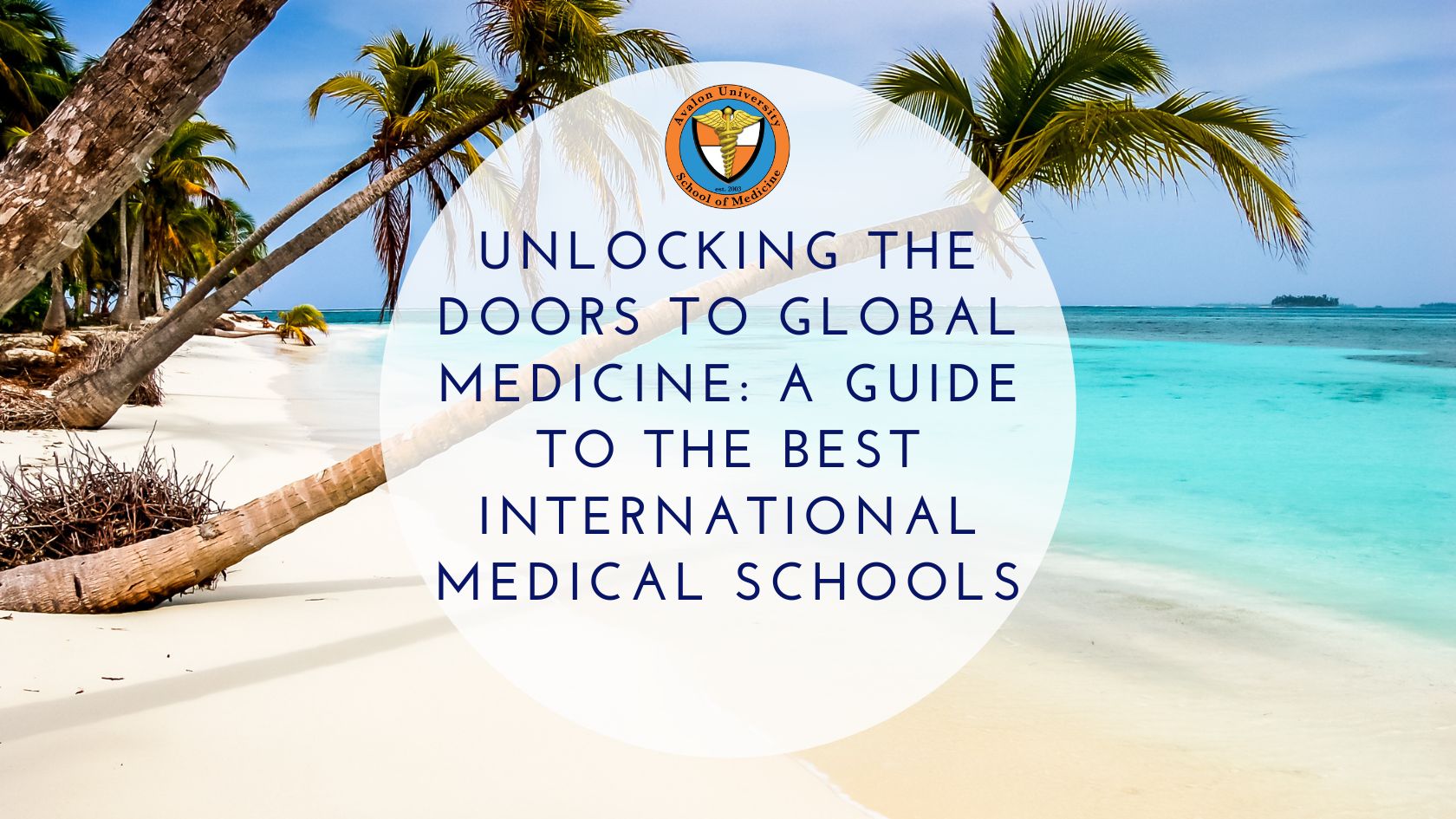 A Guide to the Best International Medical Schools
