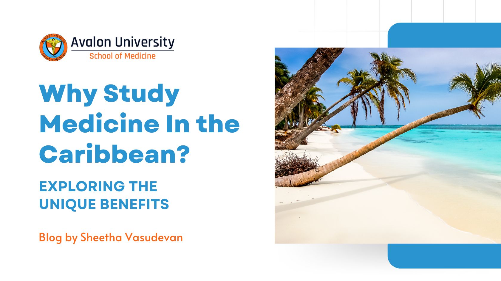 Why Study Medicine In the Caribbean Blog from Avalon University Student