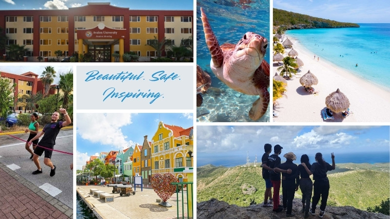 Beautiful Safe inspiring Avalon University