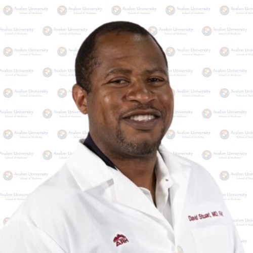 Dr. David L. Stuart